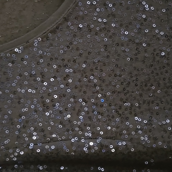 Womens Dress Barn 2x Navy sequin short sleeve top NWT - Picture 2 of 4